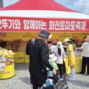 수박&토마토 축제 이미지