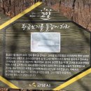 김주신선생묘 | 매조산 건자(심리)산 장령산 대자산(2024.12.26)최영장군과 단종 친누나 경혜공주를 만났던 2024...