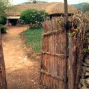 나무대문집 이미지