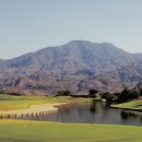 신라산업