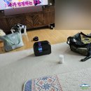 여긴어디강릉사기막 | 저기 가고 싶어 - 거기 강아지 데려가도 된대?를 반복한 사람3 강아지1의 강릉속초애견동반여행