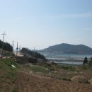 장흥군회진면보건지소 이미지