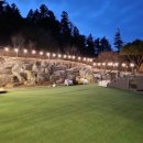 토실이네 애견 이미지