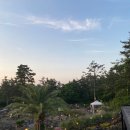 바이한림 이미지