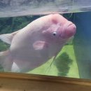 놀자 | 강릉 아이랑 체험 가볼만한 곳, 자연아놀자 후기