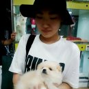 제일기독서점 이미지