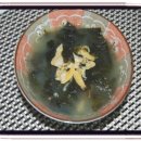 보물바다 이미지