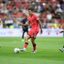 한 카카오 검색결과