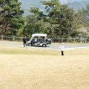 일레븐CC 이미지