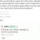 포차포차 이미지