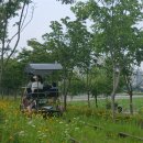 왕송호수공원 이미지