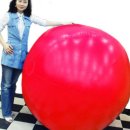 주식회사 다올에프앤씨 이미지