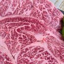 토종명품 참숯화로구이 이미지