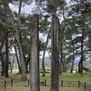 삼성초등학교 건너편(하천옆) | 영주 소수서원, 선비촌, 선비문화수련원, 효문화진흥원, 선비세상.