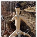 지리산산수유 이미지