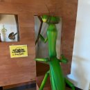 반석산에코스쿨 이미지