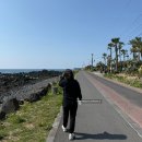 동일하모로 | [3일차] 3박4일 제주여행 서귀포 여행