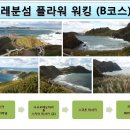 2019년 6월10일~ 14일 4박5일 일본 최북단의 꽃섬 레분섬 & 리시리섬 플라워 워킹- 취소합니다 이미지