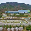 가나제주여행사 이미지