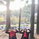 상소동 오토캠핑장 이미지