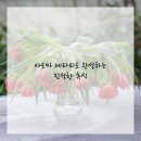 힐링의 바다 이미지