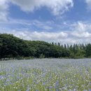 황룡목장 이미지