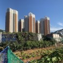 거제중앙중학교 이미지