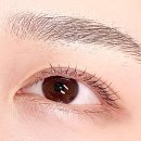 르퓨어 이미지