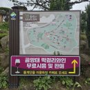 골망태 | 보성 와인동굴 카페 골망태 요리사의 정원 솔직후기