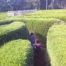 제주스카이휴양펜션 이미지