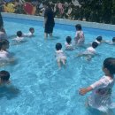 숲속리더유치원 이미지