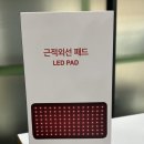 컴퍼니 온도 | 근적외선찜질기 동주컴퍼니 좌욕기 겸용방석 후기