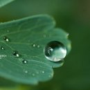 수채화(초급) 이미지