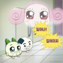 햇살과일구미