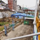 의령오리탕 이미지