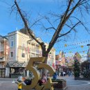 김천시민농약마트 | 유럽가기 vs. 그냥살기 (3) 프라이부르크 편