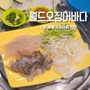 수원 영통 맛집 월드오징어바다 완전 추천하는 내돈내산후기