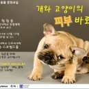 휴동물병원 - 순천시 조례연동길 18 | 휴동물병원