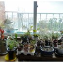 팔봉농원 이미지