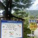 소풍캠핑장 | [소풍캠핑장 솔직 후기] 조용함 + 아이 놀거리 다 잡은 숨은 명당!(feat. 명당 타프자리 공개)