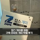 개미 | 잡스 개미용 과립으로 구축 아파트 개미 퇴치 성공 후기