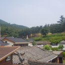 단양의아침 이미지
