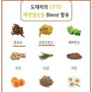 스타일키트 이미지