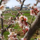 쌍암농장 이미지