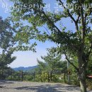 글램핑힐 이미지