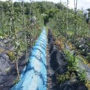 유목농장 이미지