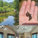 청일관광농원 이미지