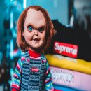 유어펫 일산본점 이미지