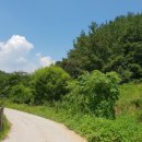 영덕공인중개사사무소 이미지