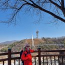 역고드름 이미지